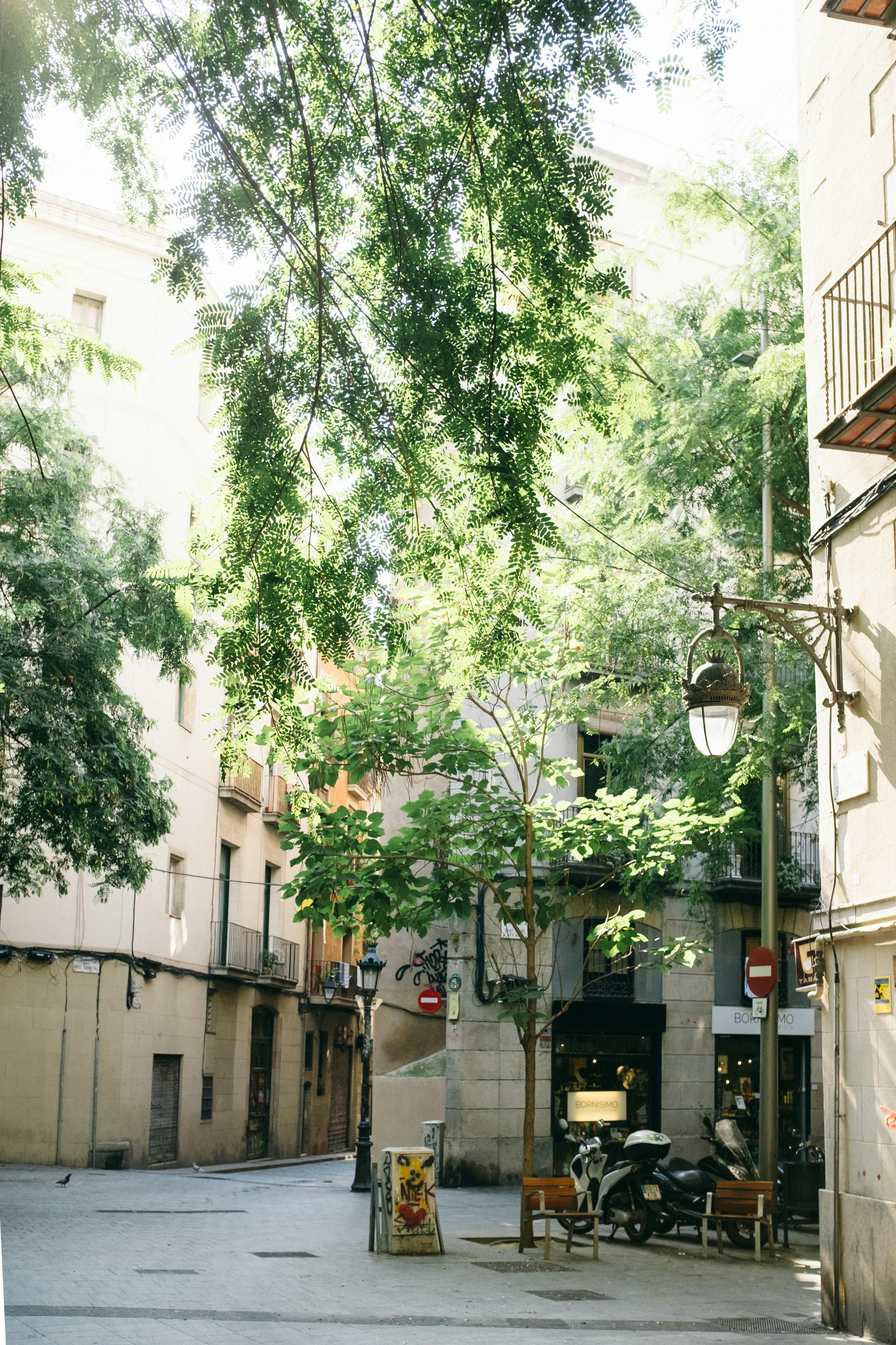 A typical street in Barcelona