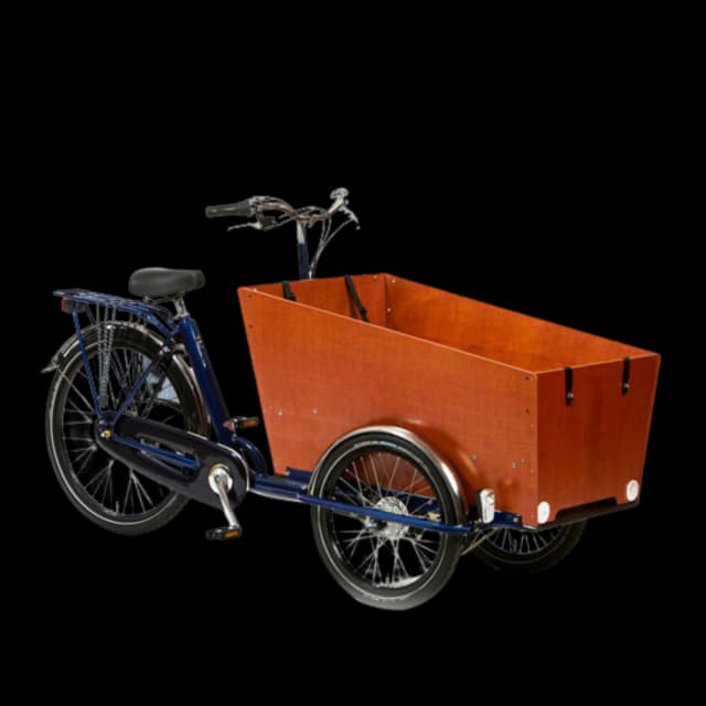 Cargo / Family Bike